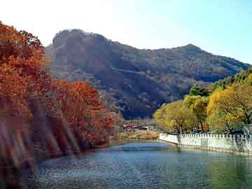 新澳天天开奖资料大全旅游团，石油焦检验法